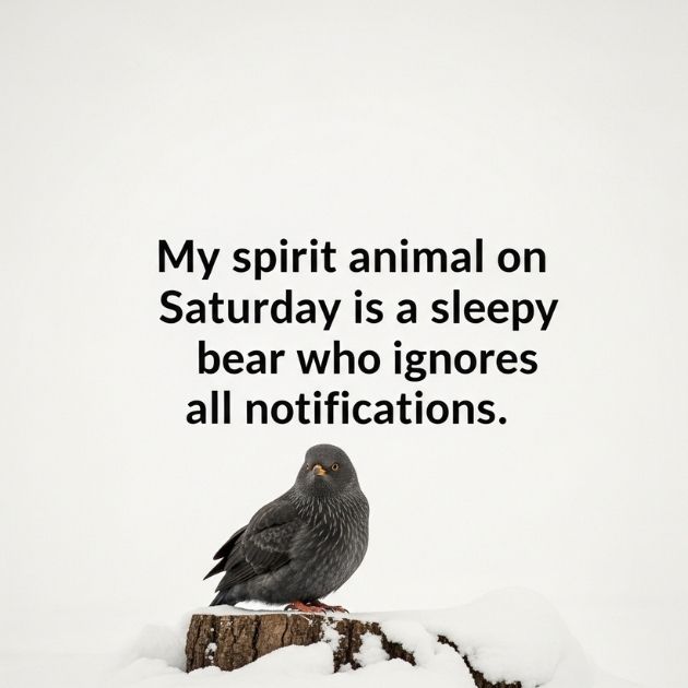 Funny Saturday Quotes