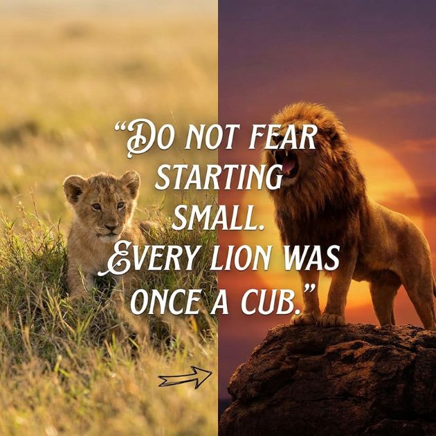 Lion Quotes Inspirational