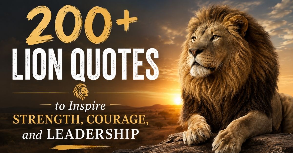 Lion Quotes